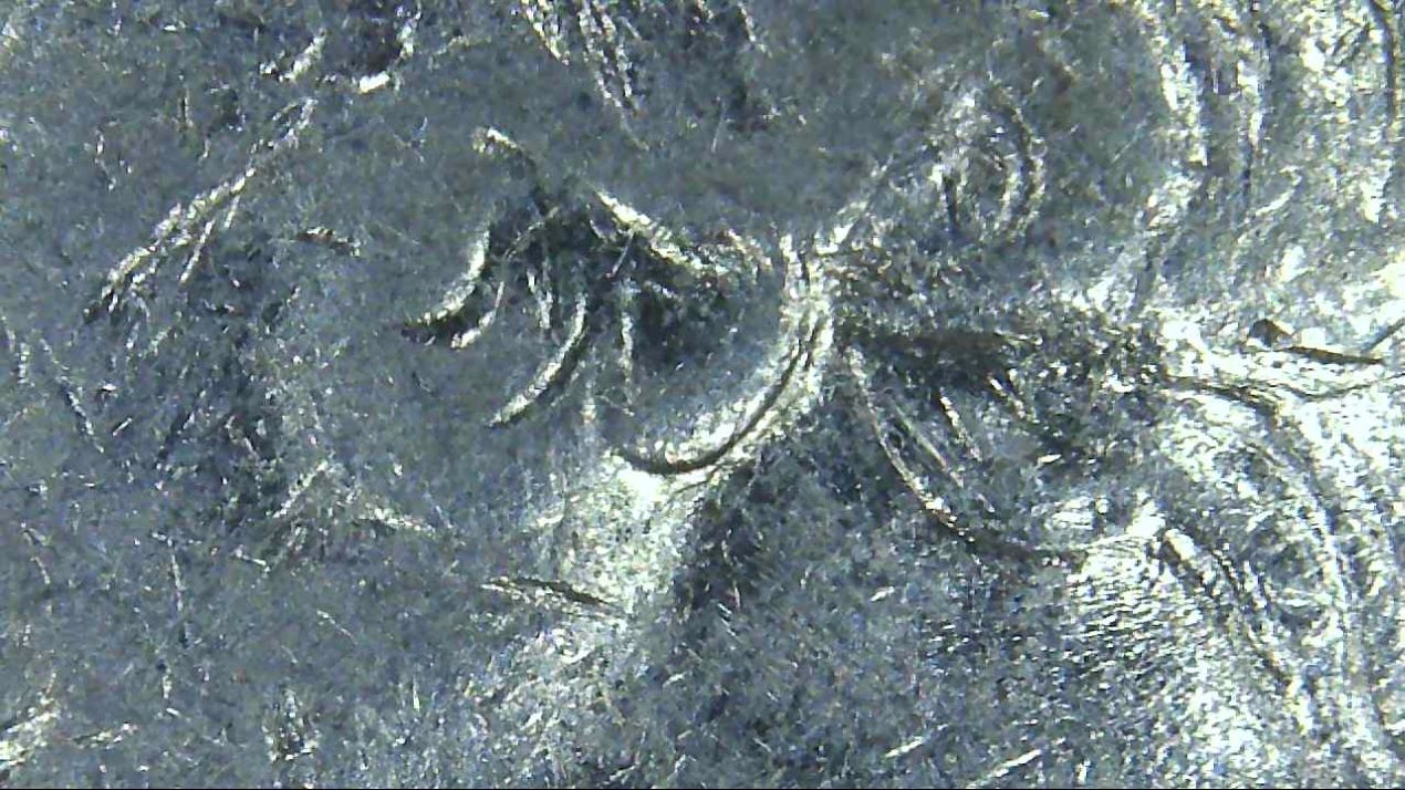 1992-D-Quarter--Ear,-Eye,-IGWT,-MM.-Doubling?