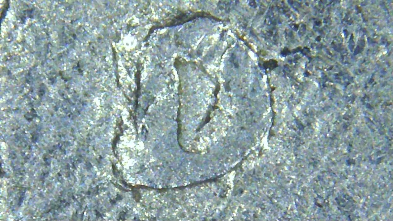 1992-D-Quarter--Ear,-Eye,-IGWT,-MM.-Doubling?
