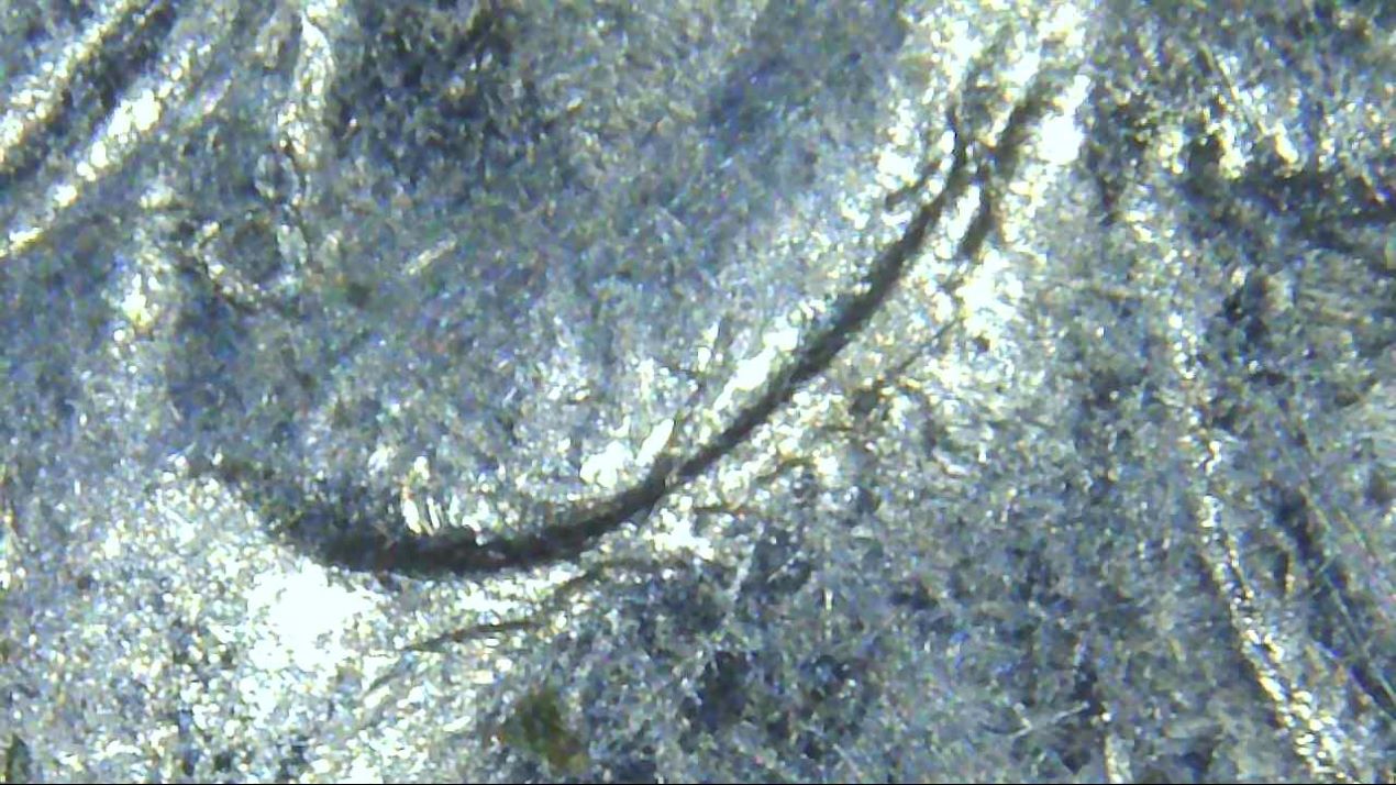 1992-D-Quarter--Ear,-Eye,-IGWT,-MM.-Doubling?