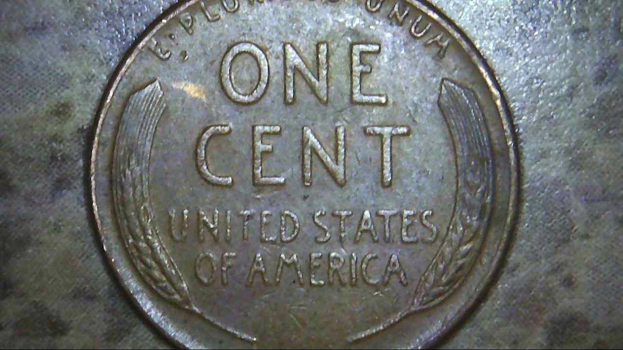 1957-LWC-WDDO-001.-Check-It-Out