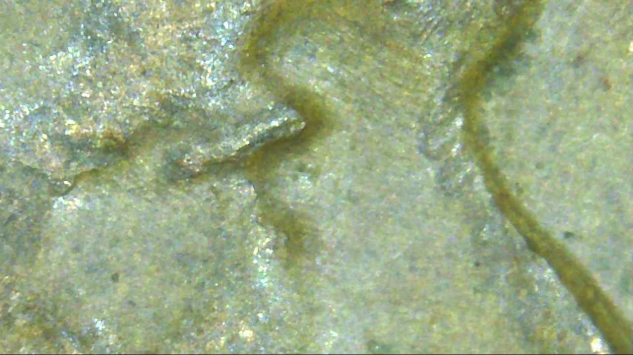 1957-D-LWC-Eyelid-And-Right-Wheat-Doubling