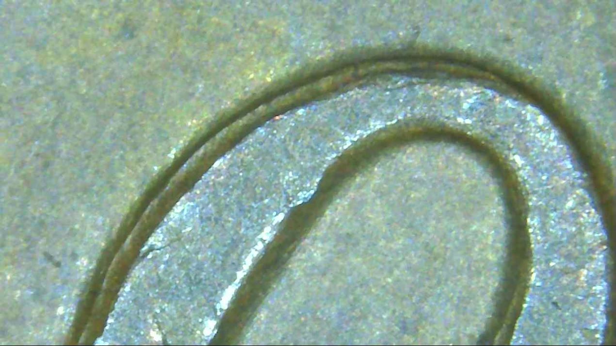 1969-D-LMC--Reverse-MD?-Please-Confirm
