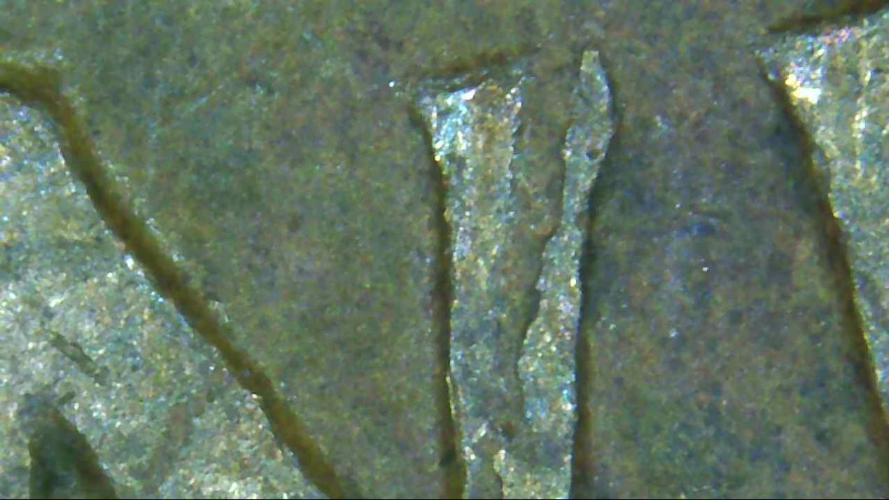 1959-LMC-Cud-Or-PSD?