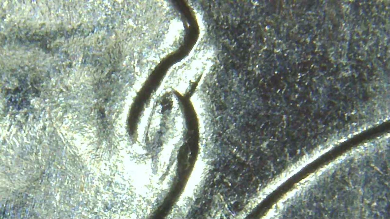 2004-Wisconsin-D-Quarter-DDR