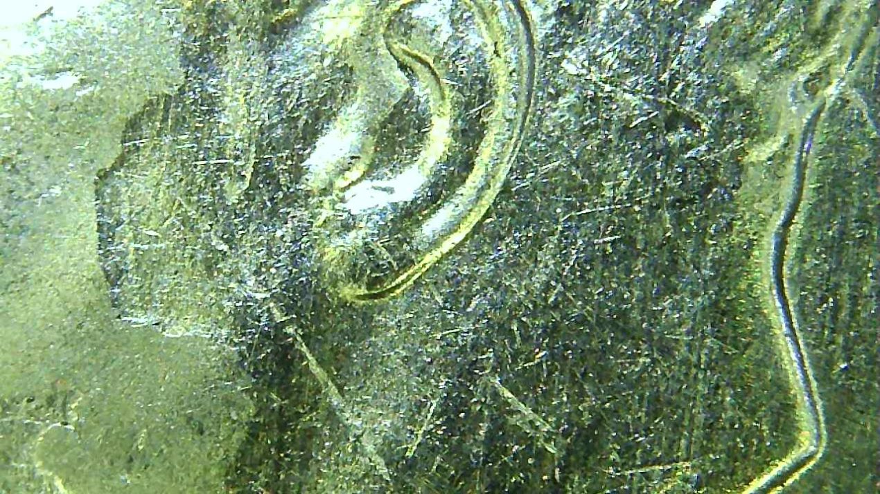 2020-D-Dime.-What-Is-It?