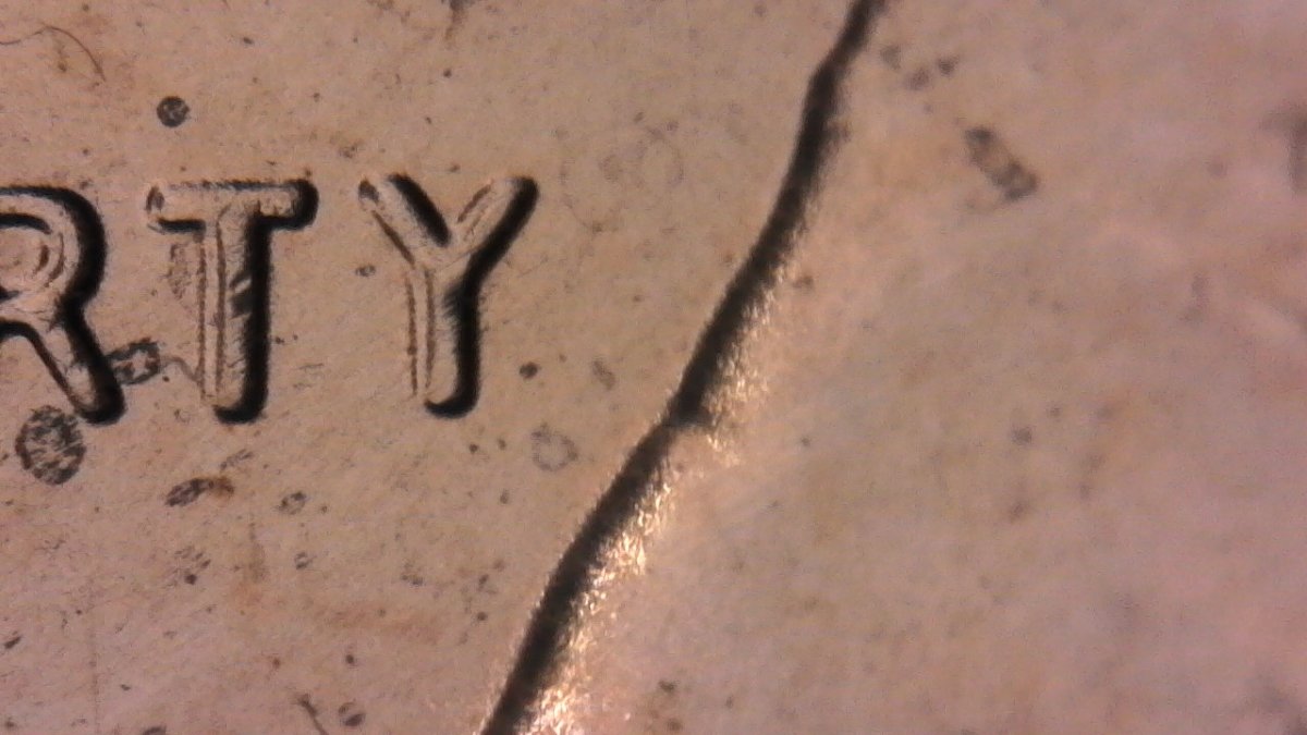 2020-Shield-Cent,-WDDO-001-Or-New-Varity?