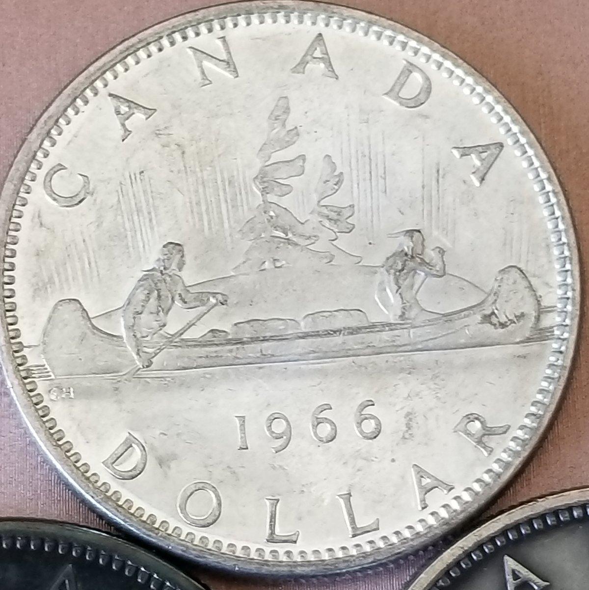 Toned,-Wore-And-Bright-Silver-Dollars