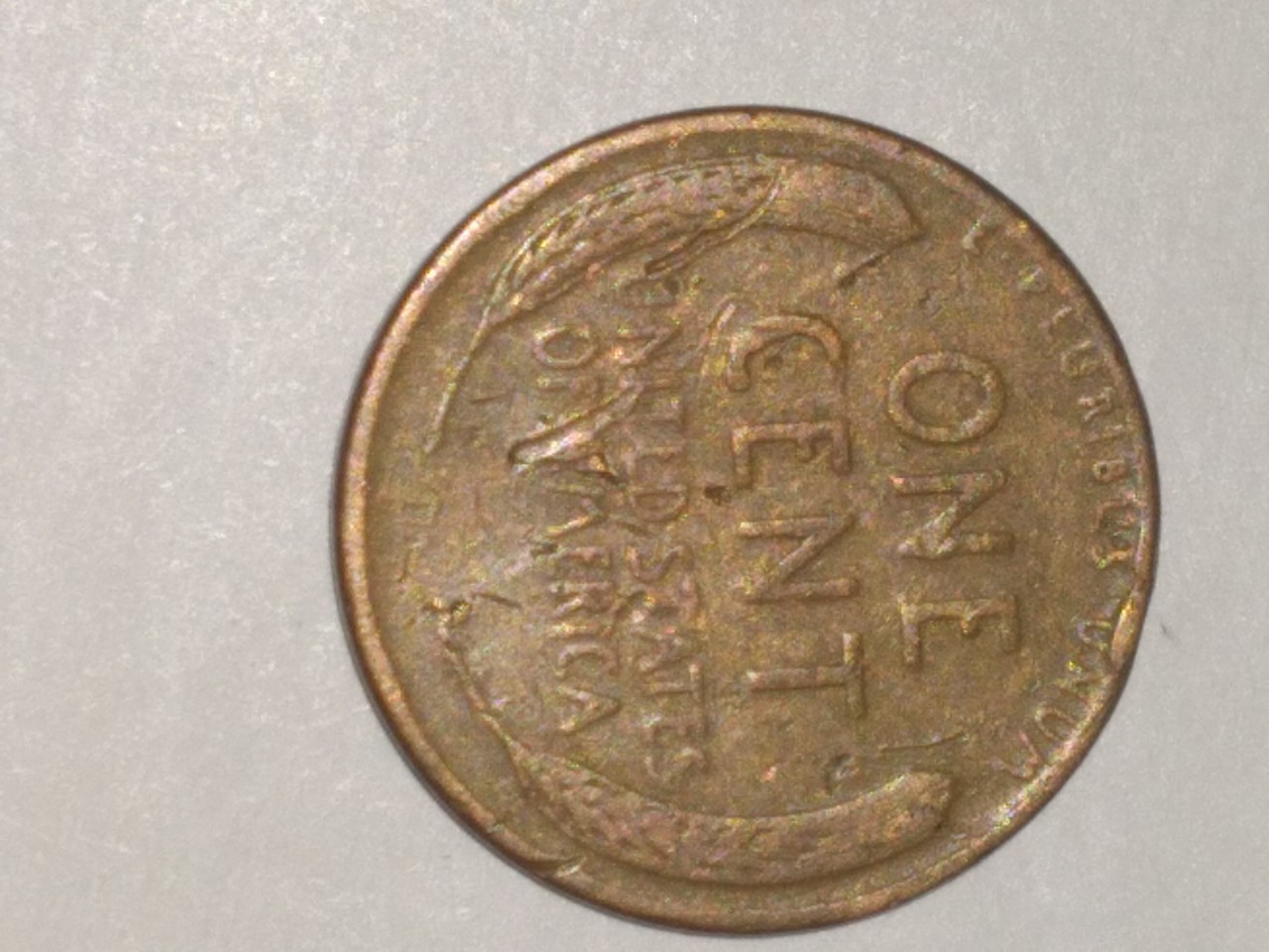 I-Inherited-My-Nana's-Coin-Collection-Back-2019.