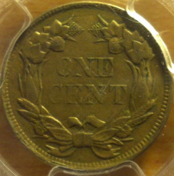 1857-Flying-Eagle--You-Vs.-PCGS