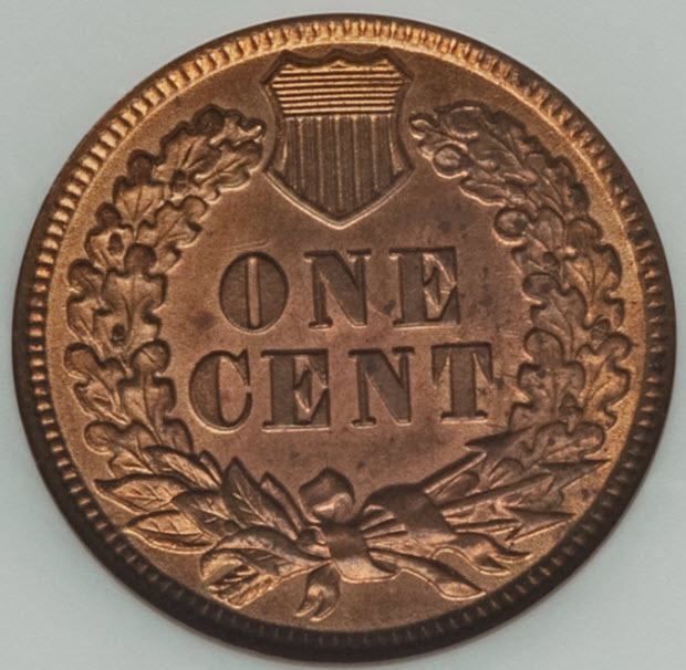 1881-Indian-Cent-You-Vs.-ANACSOld-White-Holder