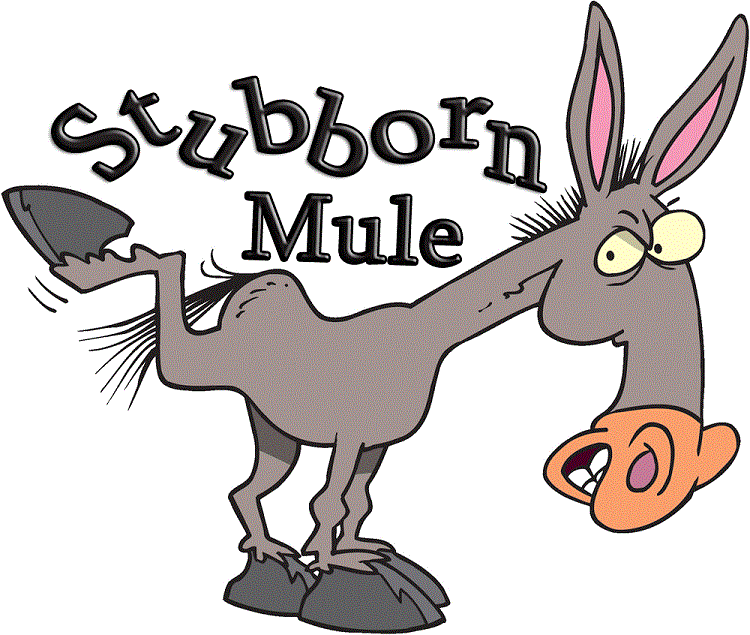 A-Paddock-Full-Of-Mules.