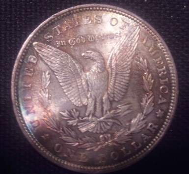 1882-Morgan;-Grade?