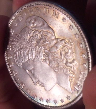 1882-Morgan;-Grade?