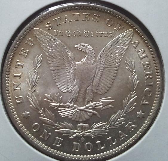 Another-Toner-Morgan-For-Grading-1883-O