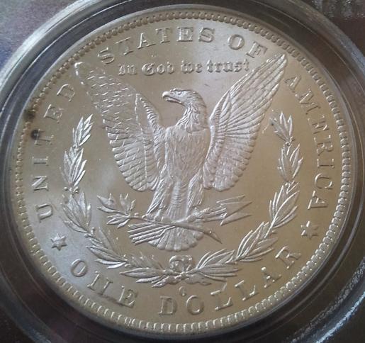 28-Days-Of-Morgans