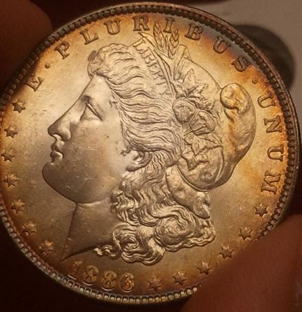 1886-Toner-Morgan