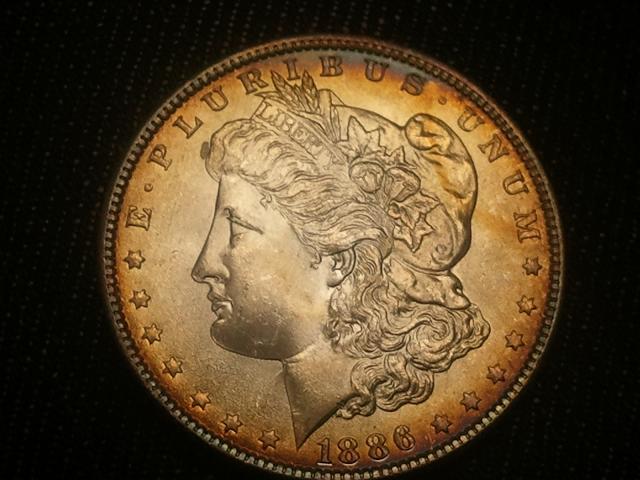 1886-Toner-Morgan