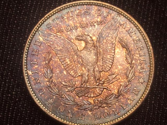 1886-Toner-Morgan