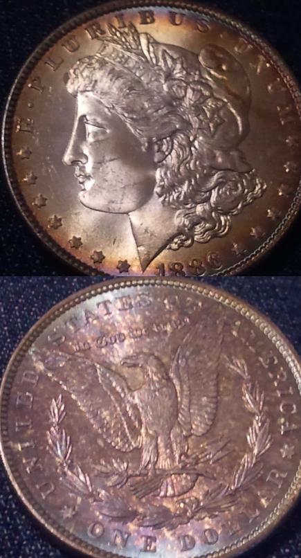 Hello-Beautiful-1886-Morgan