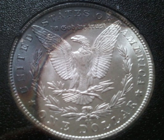 Are-These-Morgans-Destined-For-Melt?
