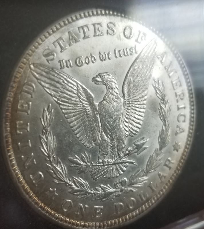 1921-Morgan-For-Grading
