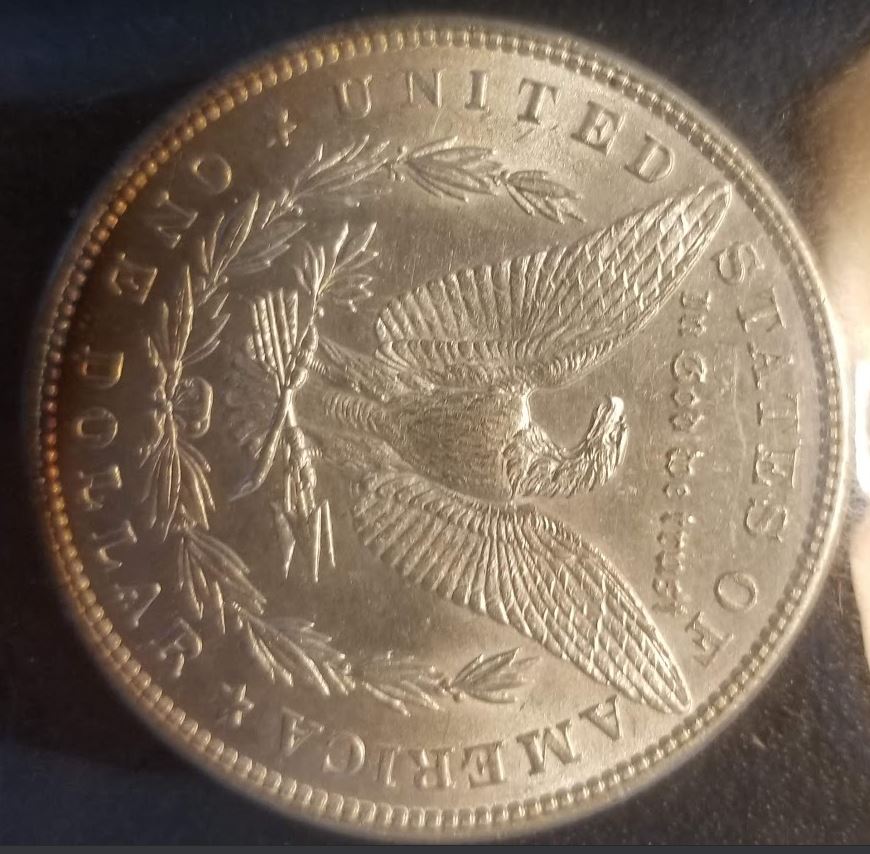 1882-Morgan-Dollar-For-Grading