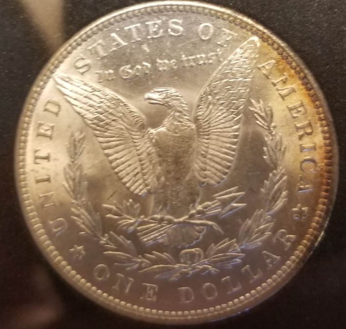 1889-Morgan-Dollar-For-Grading