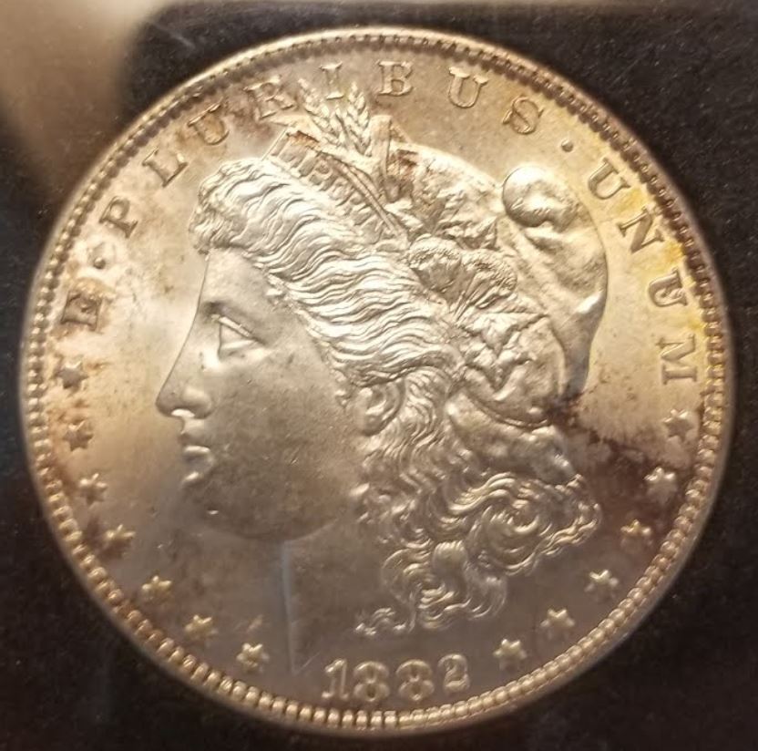 1882-Morgan-Dollar-For-Grading