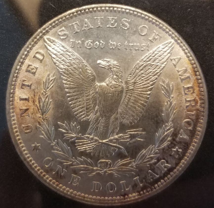 1882-Morgan-Dollar-For-Grading