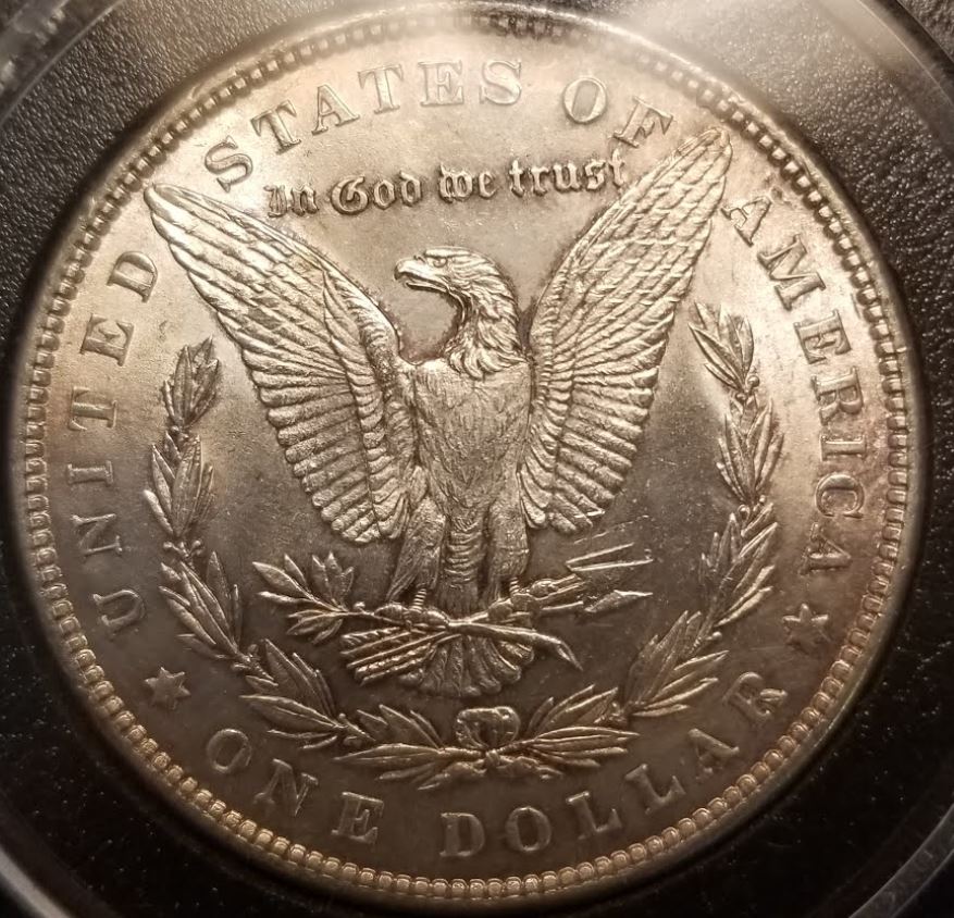 Better-1882-Morgan-Dollar-For-Grading