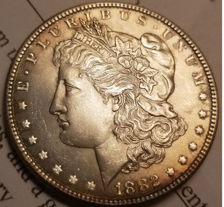 My-Next-1882-Morgan-Dollar-For-Grading