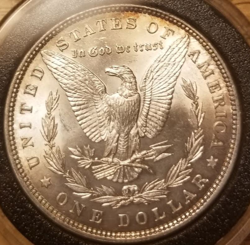 My-Next-1882-Morgan-Dollar-For-Grading