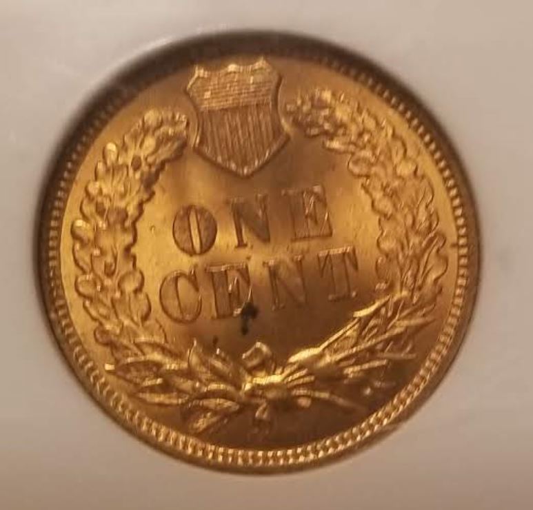 Stunning-1909-IHC-For-Grading