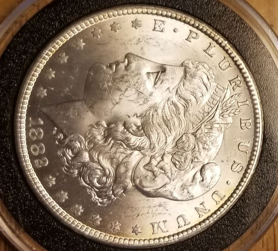 1882-CC-Morgan,-Bag-Fight-Victim-For-Grading