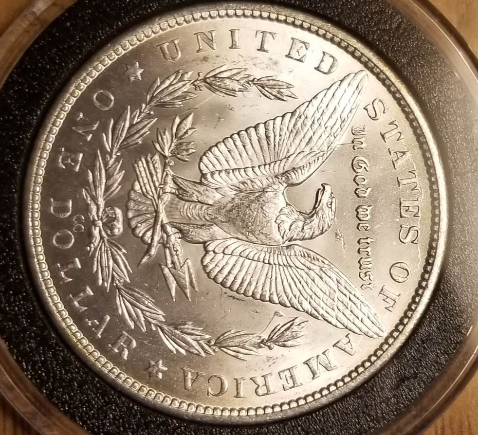 1882-CC-Morgan,-Bag-Fight-Victim-For-Grading