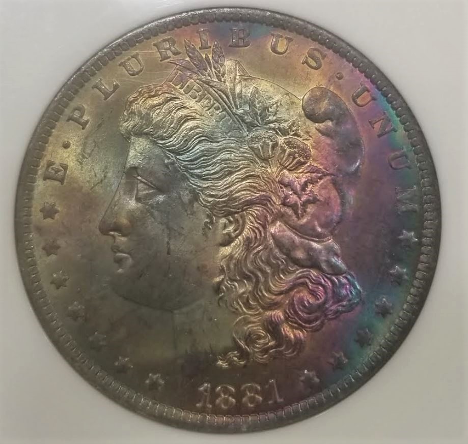 1881-O-Toned-Morgan-For-Grading