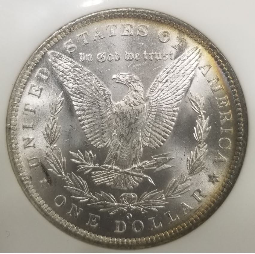1881-O-Toned-Morgan-For-Grading