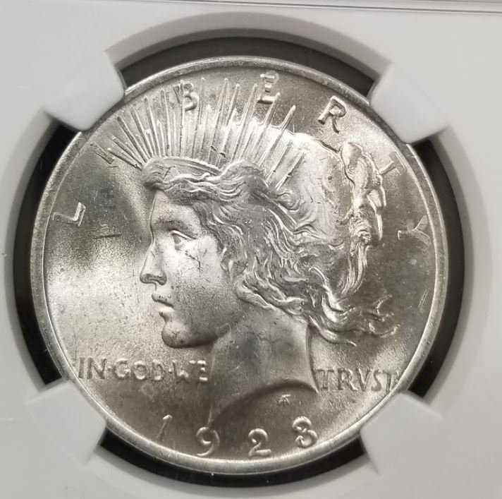 1923-Peace-Dollar-For-Grading
