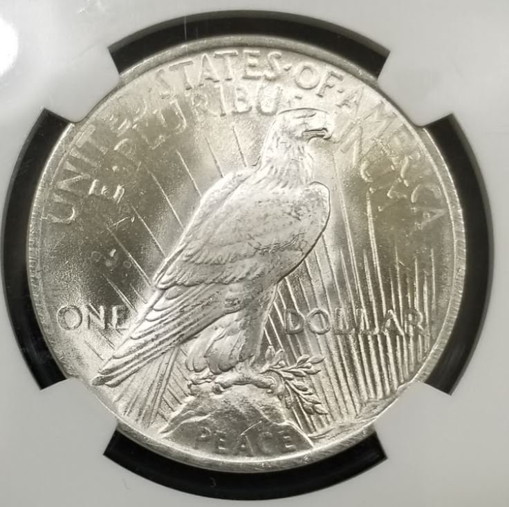 1923-Peace-Dollar-For-Grading