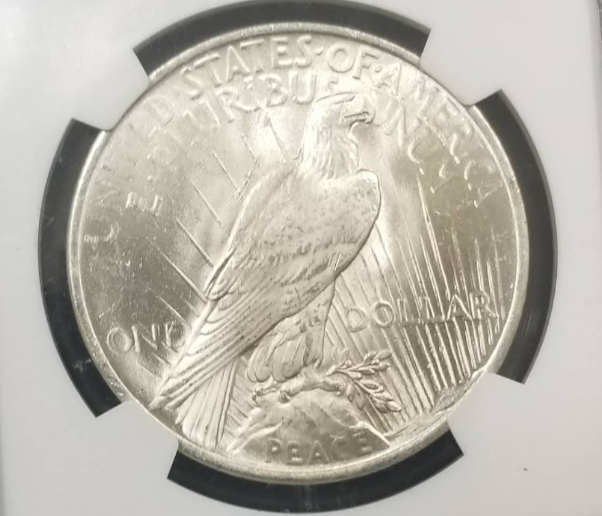 1922-Peace-Dollar-For-Grading