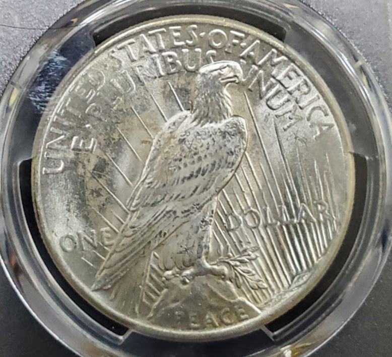 1925-Peace-Dollar-For-Grading.-PCGS-Holder.