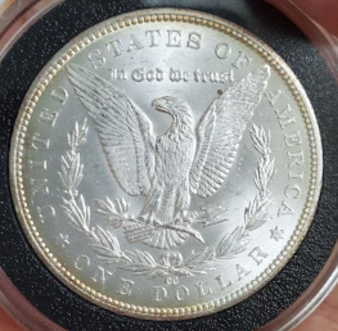 1884-CC-Morgan-For-Grading.-Raw.