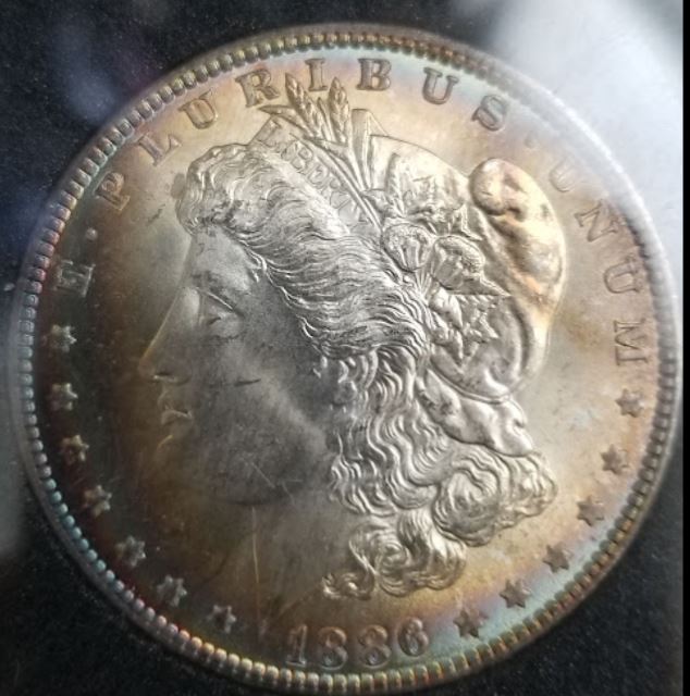 1886-Morgan,-Killer-Toning