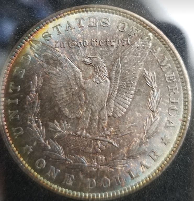1886-Morgan,-Killer-Toning