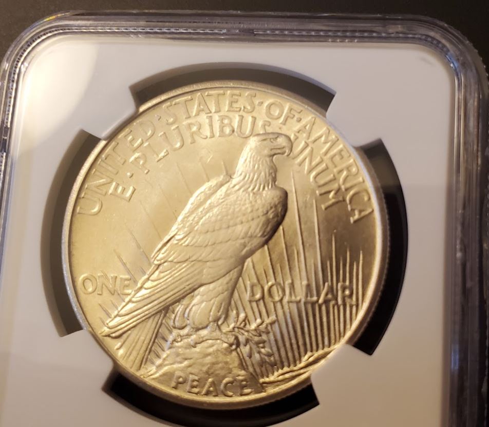 Latest-Edition-To-My-Date-Set-Of-Peace-Dollars