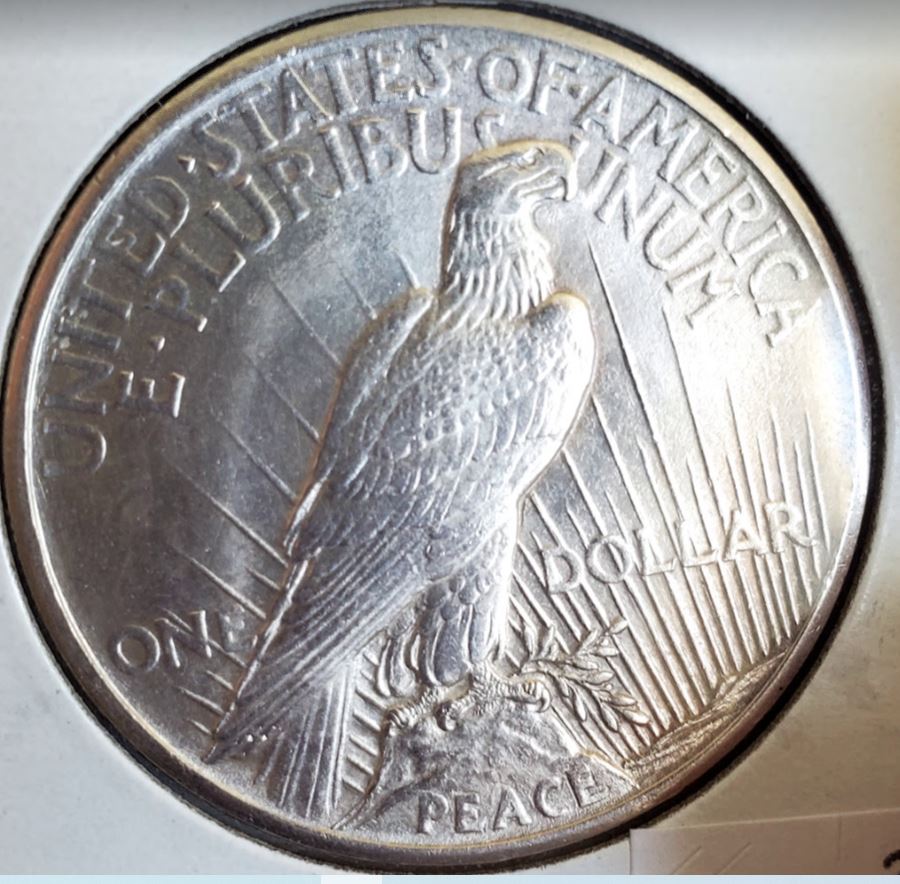 1921-Peace-Dollar-For-Grading.-55,-58,-62?