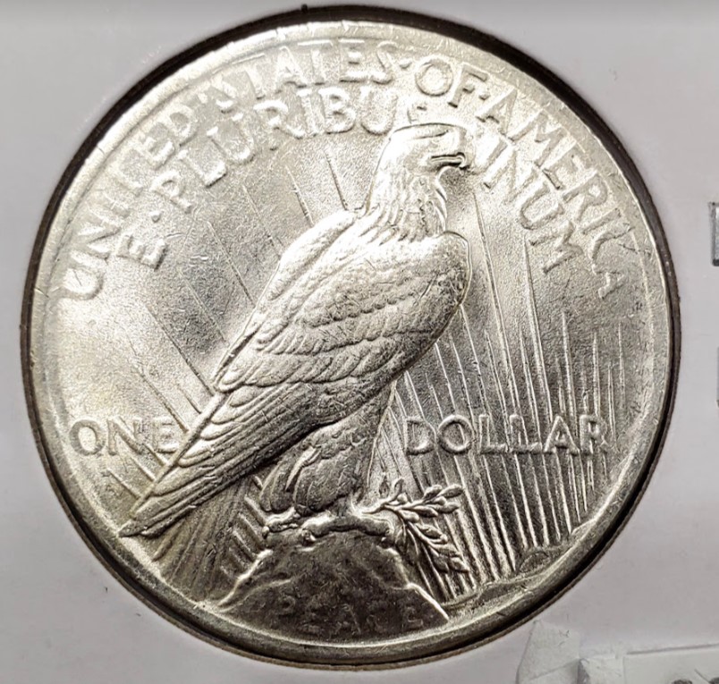 1923-Peace-Dollar-For-Grading