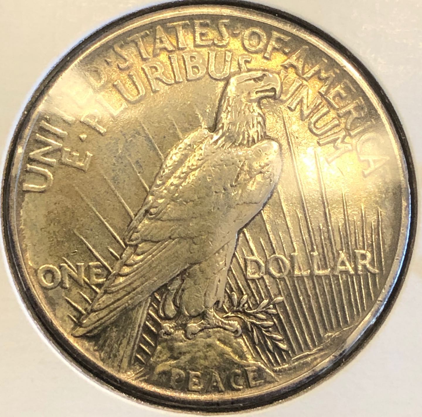 1921-Peace-Dollar-Opinions