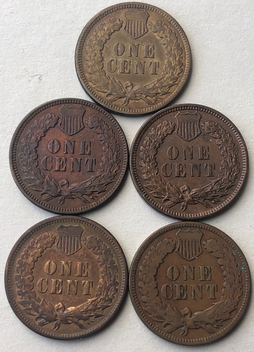 Continuing-List-To-Show-Everyones-Latest-Acquisitions