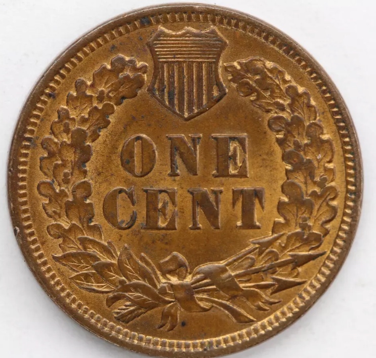 1901-Indian-Head-Cent-For-Grading